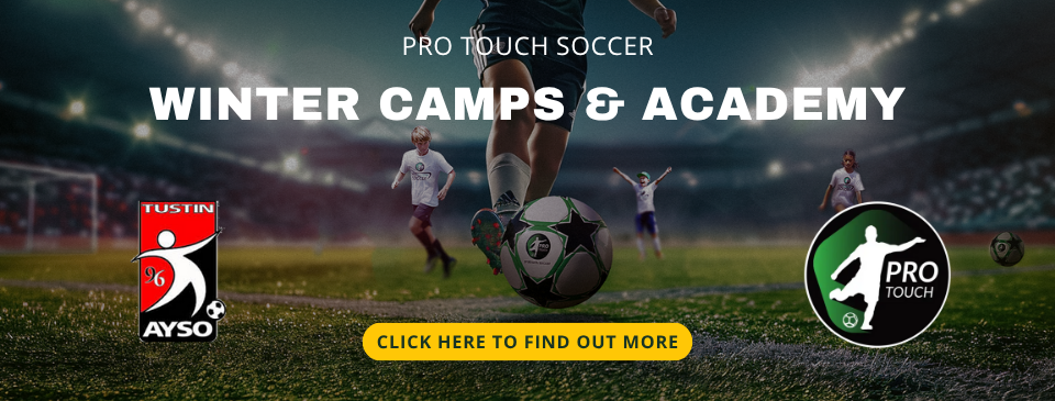 Pro Touch: Camps and Academy